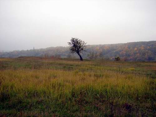 Eastern Ukraine landscapes 2nd picture