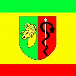 Eupatoria (Yevpatoria, Yevpatoriya) Ukraine city flag picture