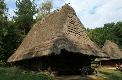 Central and Northern Ukraine landscapes 1st picture