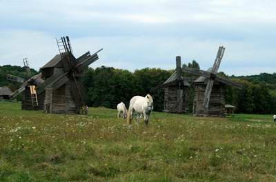 Central and Northern Ukraine landscapes 6th picture