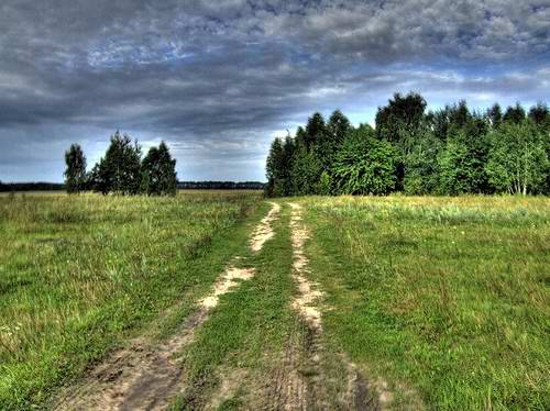 Ukraine beautiful nature photo
