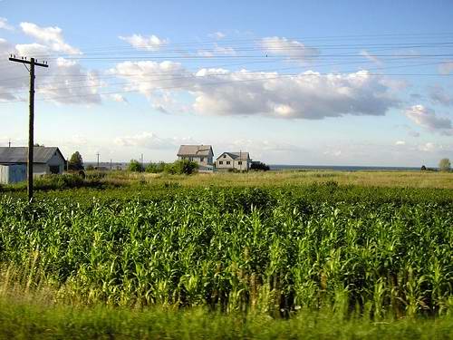 Ukraine country landscape photo