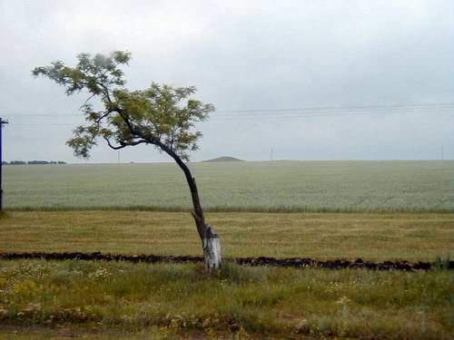Ukraine country lands - areas of forests and steppes 2nd picture