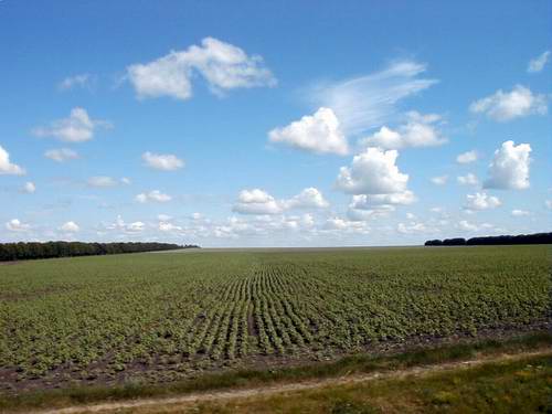 Ukraine country lands - agriculture fields picture