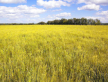 Central and Northern Ukraine nature