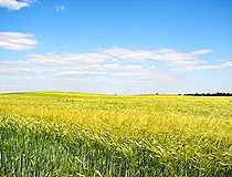 Eastern Ukraine landscape